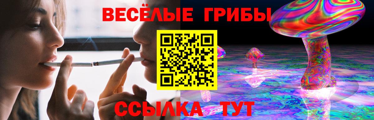 Псилоцибиновые грибы Psilocybe  Галлюциногенные грибы прущие грибы  Димитровград  Вход с VPN 
